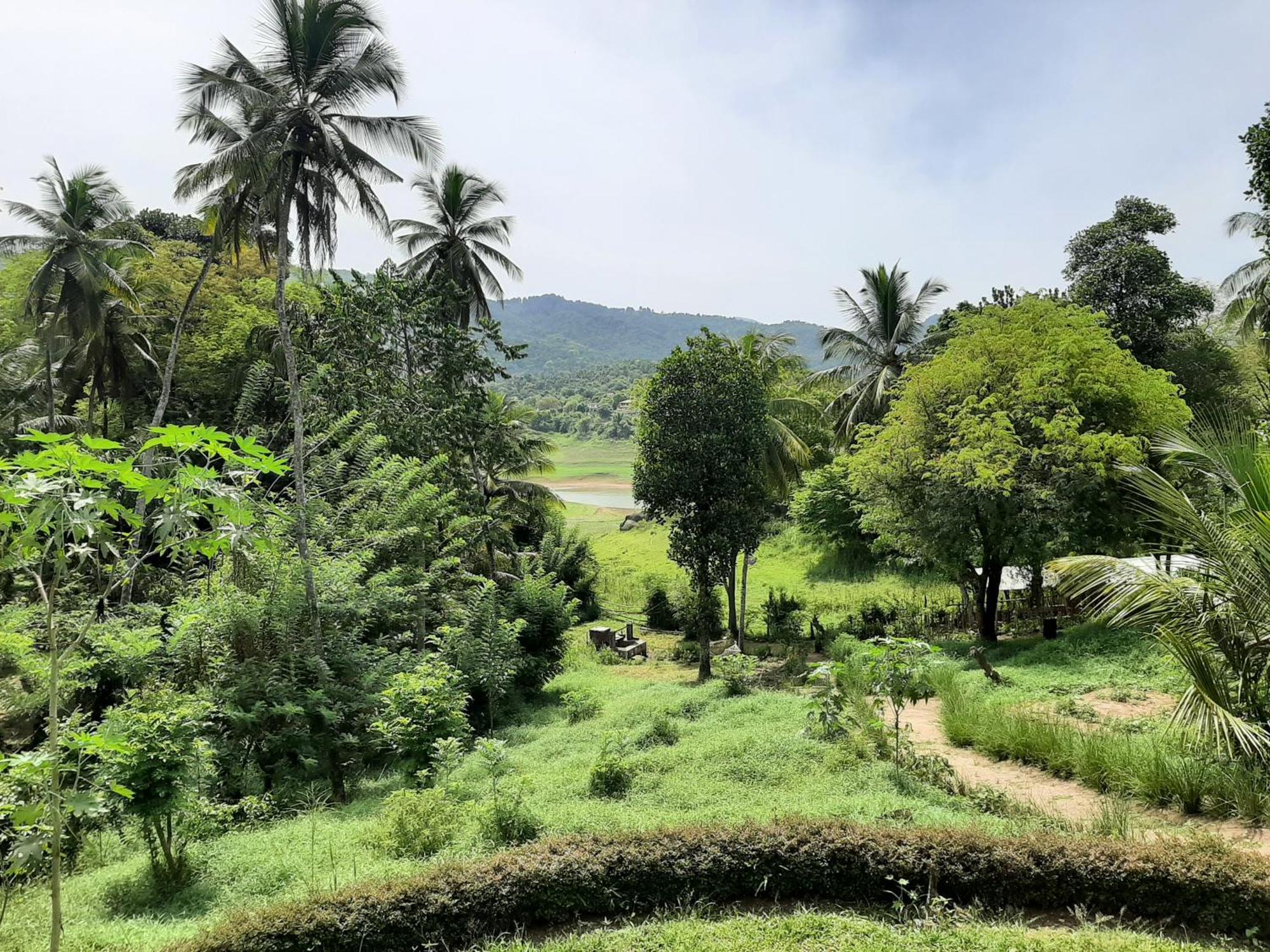 Victoria Views Resort Kandy Digana Exterior photo